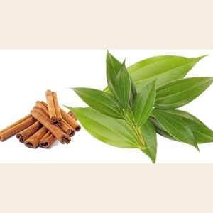 Cinnamon Leaf Oil