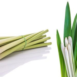 Citronella Oil