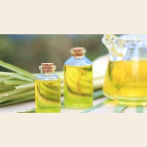 Ginger Grass Oil