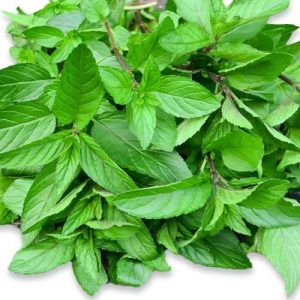 Peppermint Oil