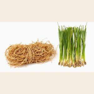 Vetiver Oil