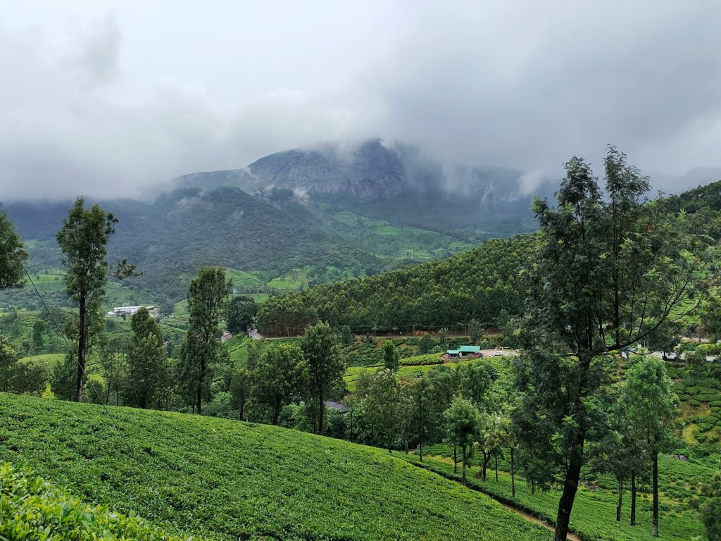 Hillside in South India