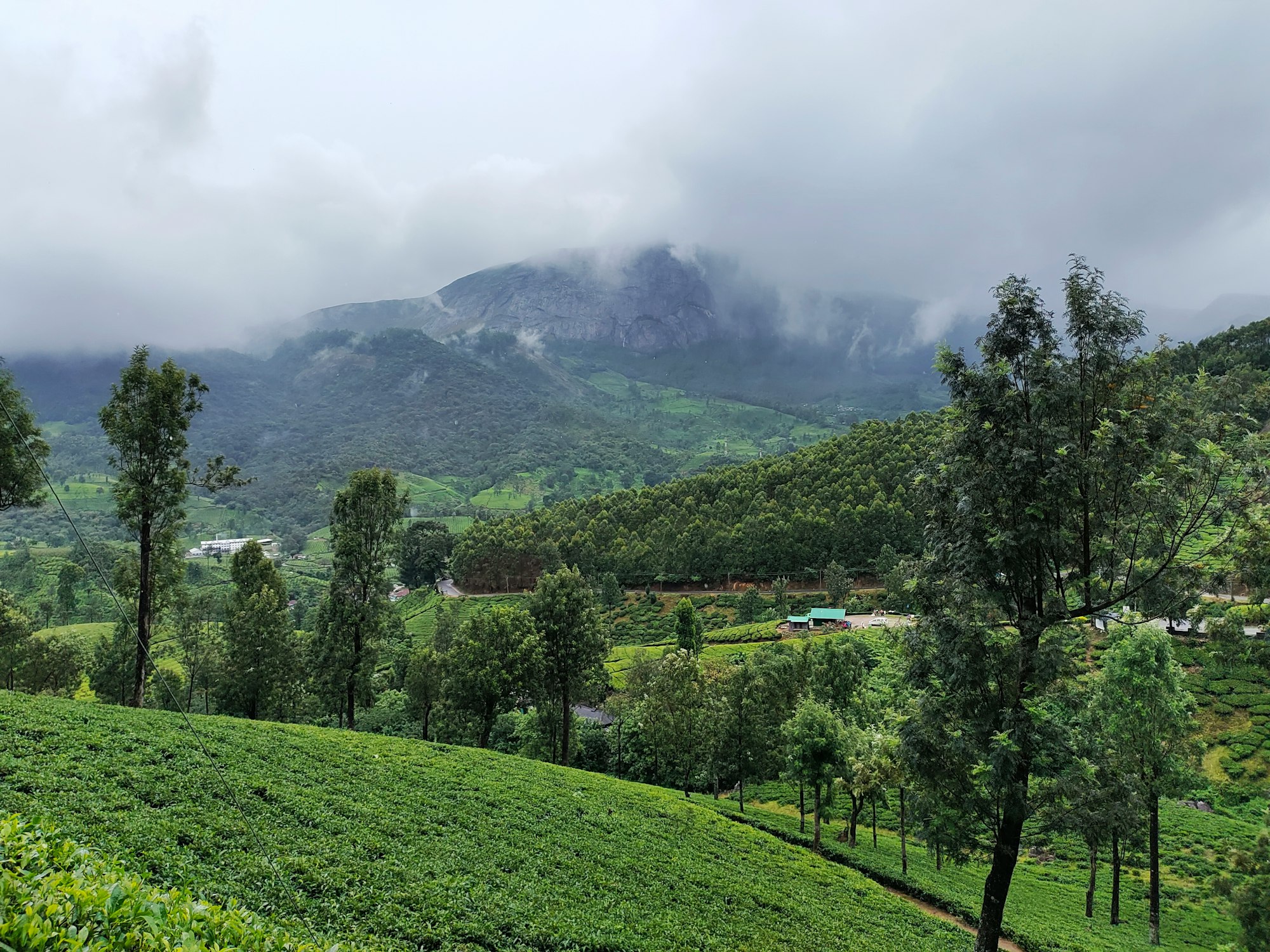 Hillside in South India