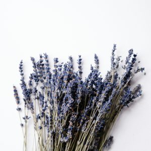 Bunch of lavender