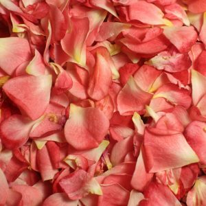 Rose petals